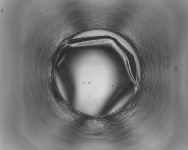 X0000088720739200706141612