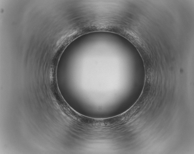 X0000088720740200706141612