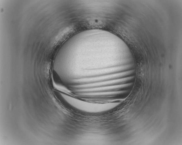 X0000088720742200706141612