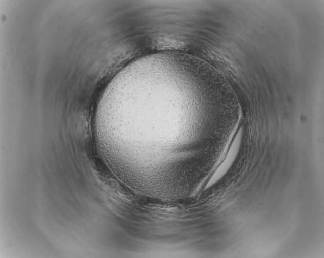 X0000088720743200706141612