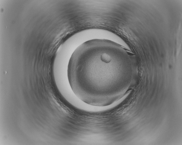 X0000088720744200706141613