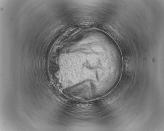 X0000088720745200706141613