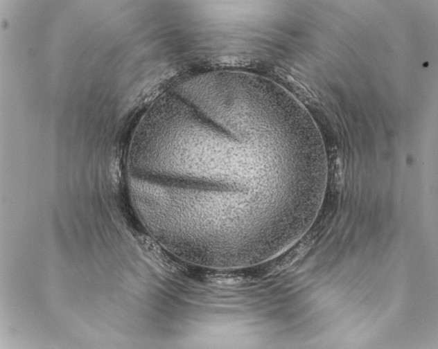 X0000088720746200706141613