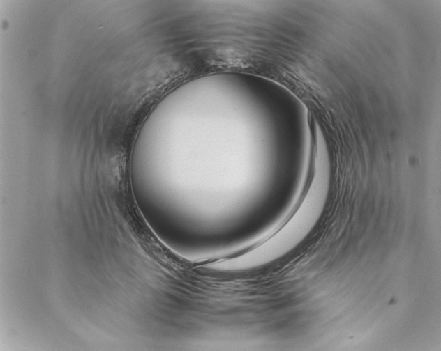 X0000088720747200706141613