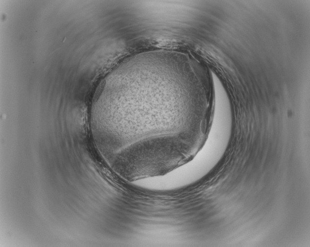 X0000088720748200706141613