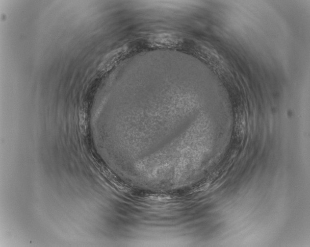 X0000088720749200706141613