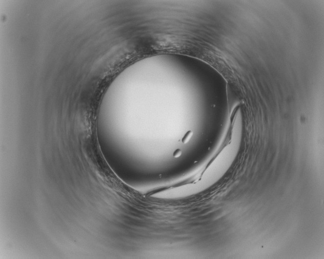 X0000088720751200706141613