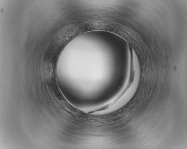 X0000088720752200706141613