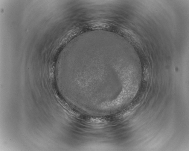 X0000088720753200706141613