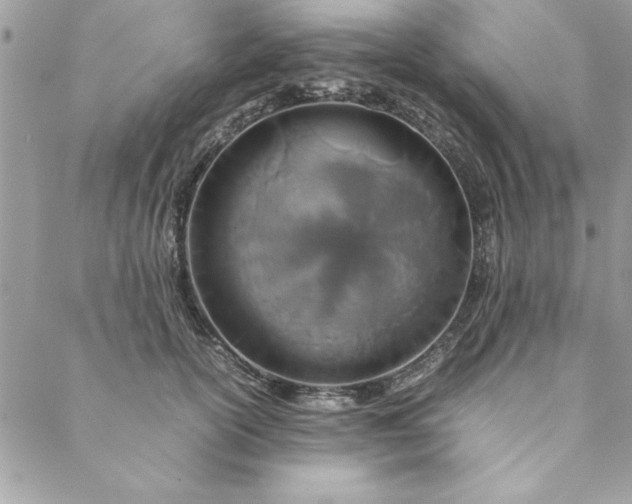 X0000088720754200706141613