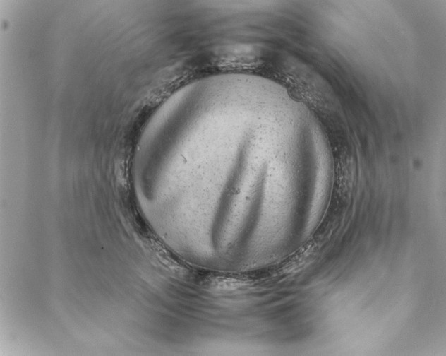 X0000088720755200706141613