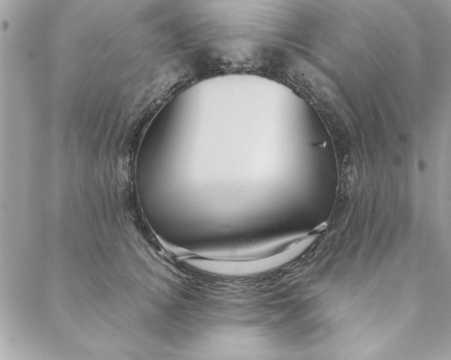 X0000088720756200706141613