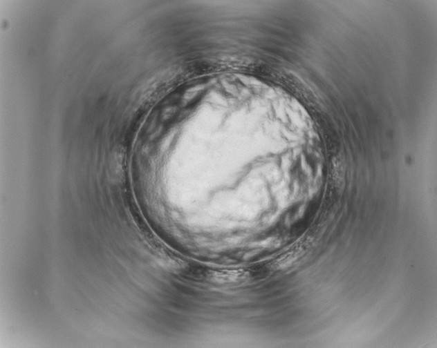 X0000088720757200706141613