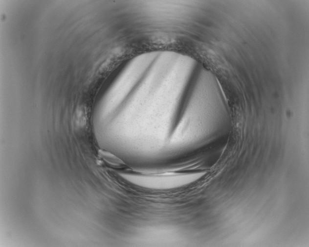 X0000088720758200706141613