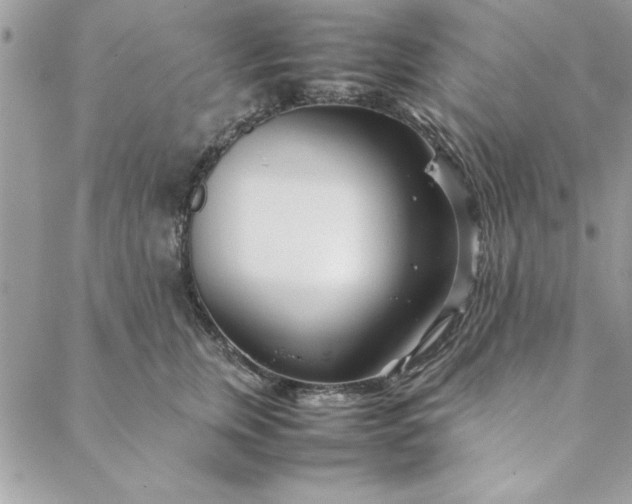 X0000088720759200706141613