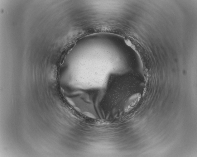 X0000088720760200706141613