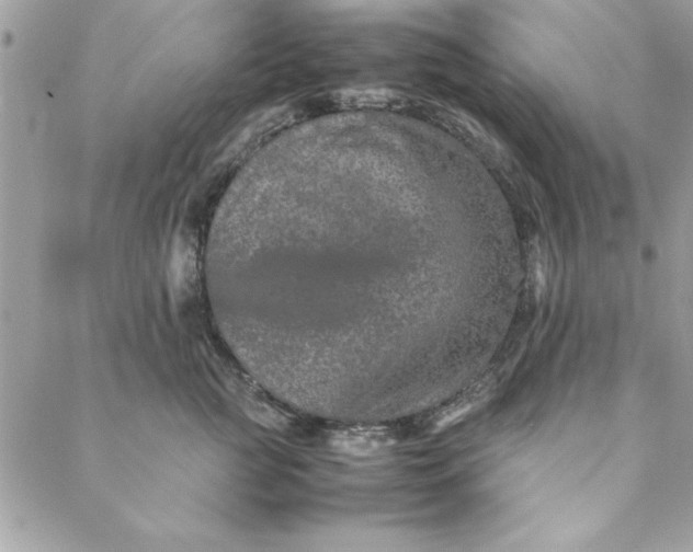 X0000088720761200706141613