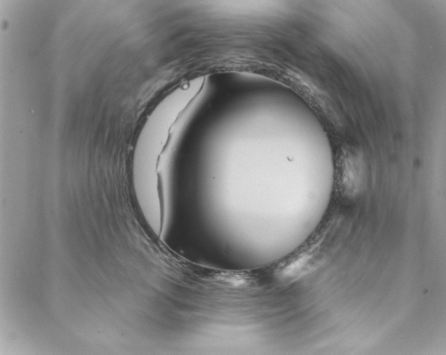 X0000088720762200706141613