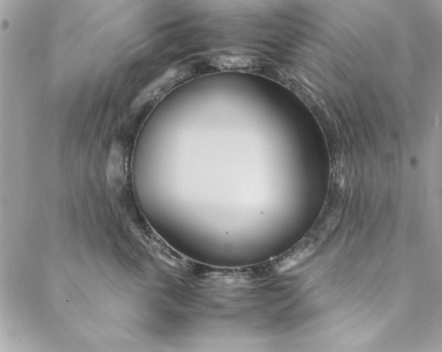 X0000088720763200706141613