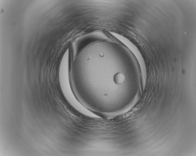 X0000088720764200706141613