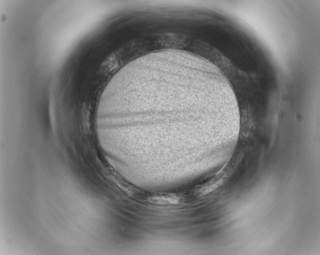 X0000088720765200706141613