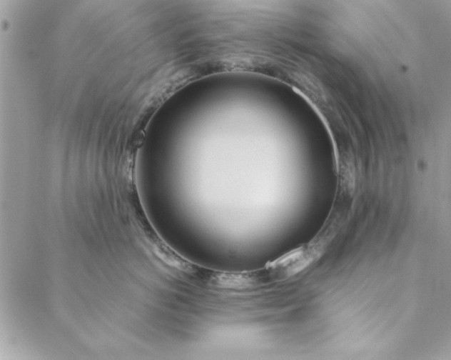 X0000088720766200706141613