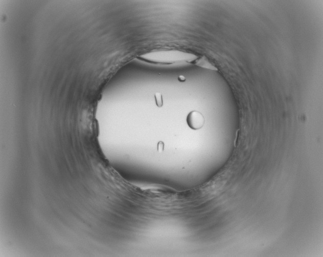 X0000088720768200706141613