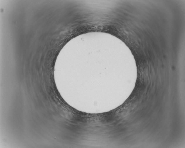 X0000088720769200706141612