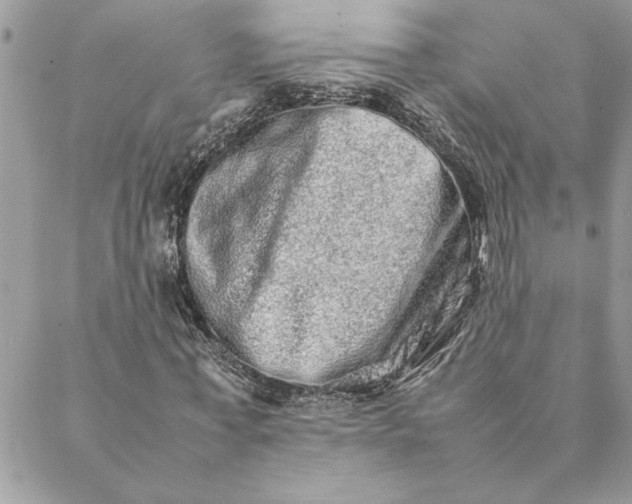 X0000088720771200706141612