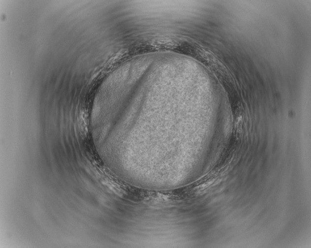 X0000088720772200706141612