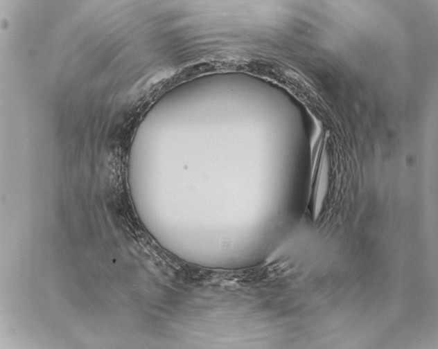 X0000088720773200706141612