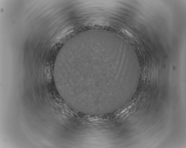 X0000088720774200706141612