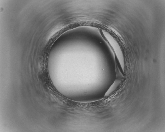 X0000088720775200706141612