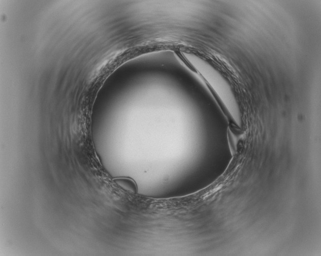 X0000088720776200706141612