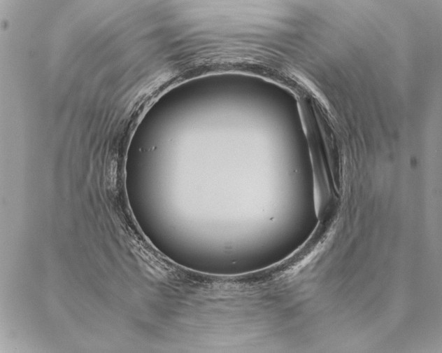 X0000088720777200706141612