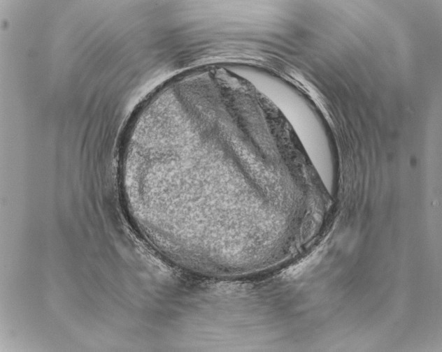 X0000088720779200706141612