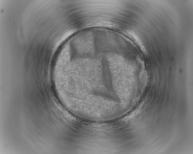 X0000088720780200706141612