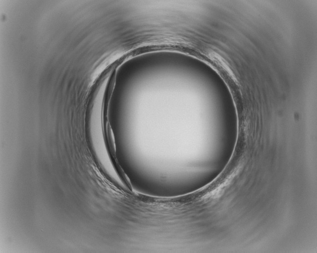 X0000088720781200706141612