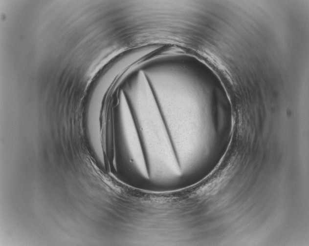 X0000088720782200706141612