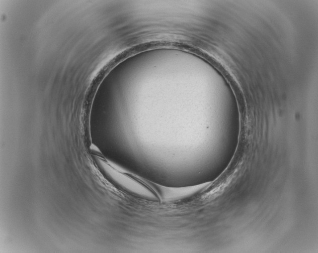 X0000088720783200706141612