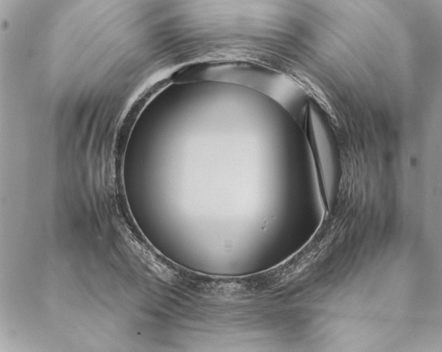 X0000088720784200706141612