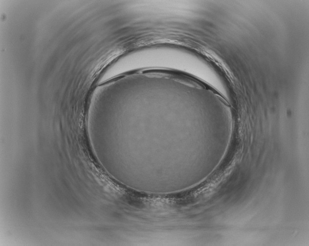 X0000088720785200706141612