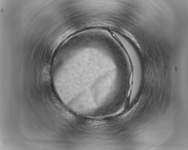 X0000088720786200706141612