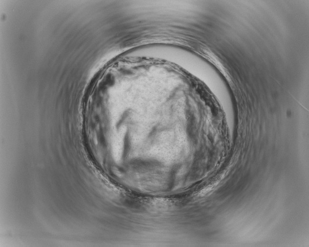 X0000088720787200706141612