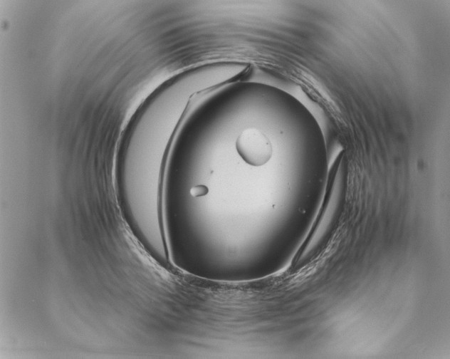 X0000088720788200706141612