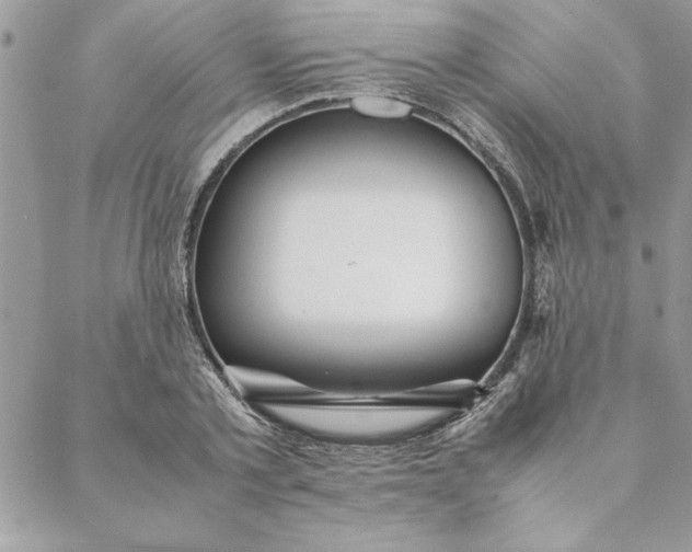 X0000088720789200706141612