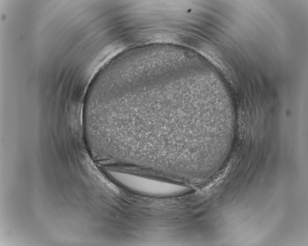 X0000088720790200706141612