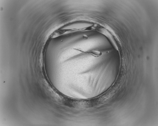 X0000088720791200706141612