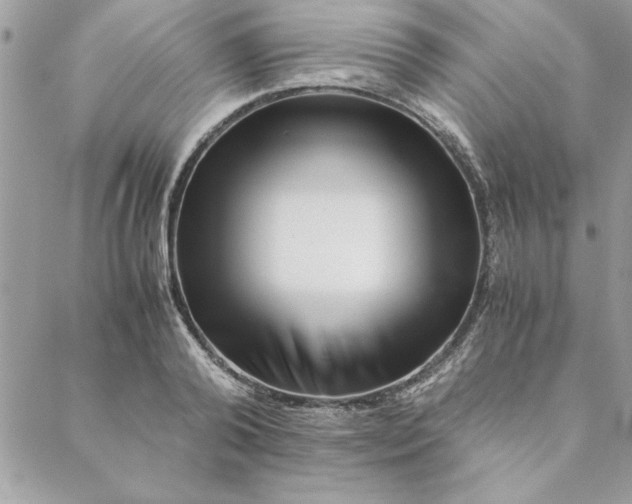 X0000088720792200706141612