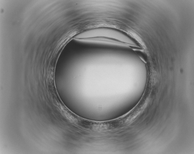 X0000088720793200706141612